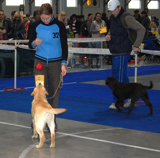 DSC_0007 - Kopie.JPG