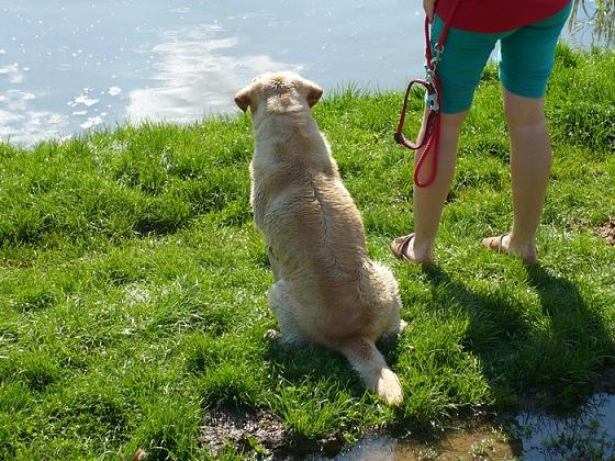 Fotecky_016[1].jpg
