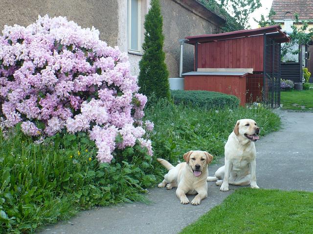 P1010170 - Kopie.JPG